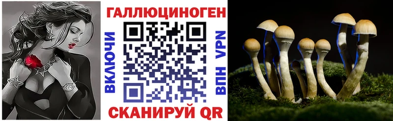 где можно купить   Уварово  блэк спрут ONION  Галлюциногенные грибы MAGIC MUSHROOMS 